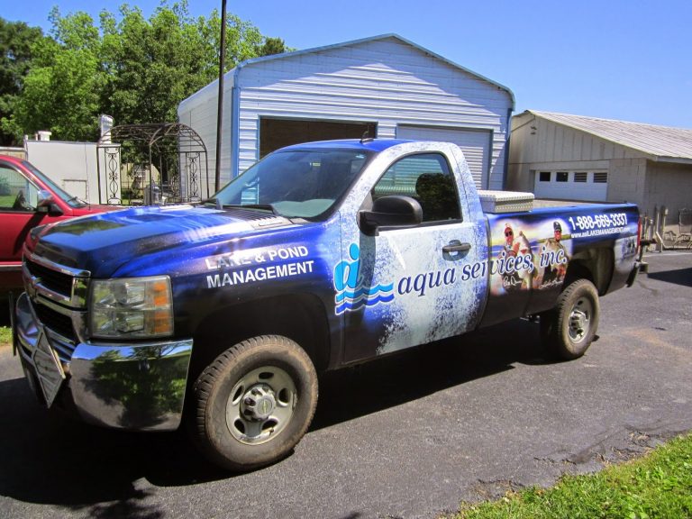 tmp 601b71f3ba644 768x576