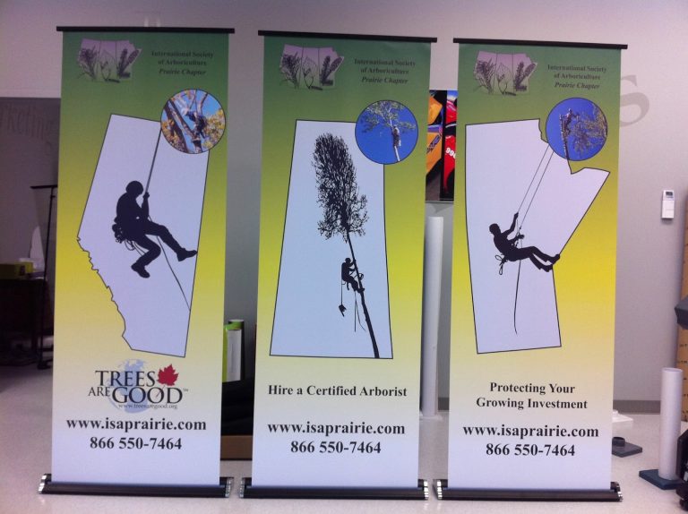 tmp 601b7bbda7e4e 768x574