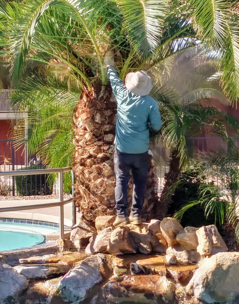 tmp 601b84c99193b 768x976