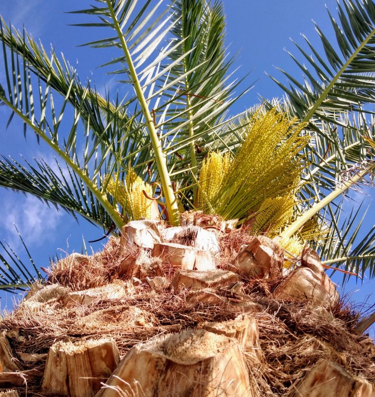 tmp 601b84d39c871 768x814