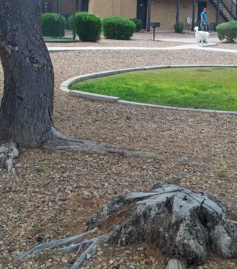 tmp 601b84d91fd80 768x873