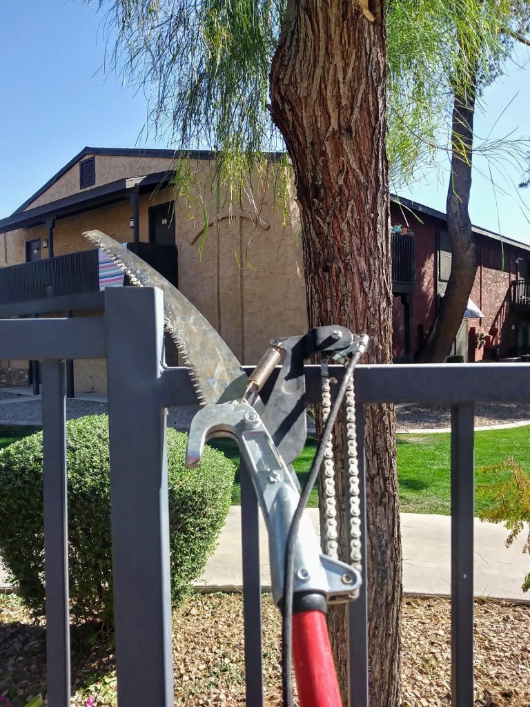 tmp 601b84e248050 768x1024