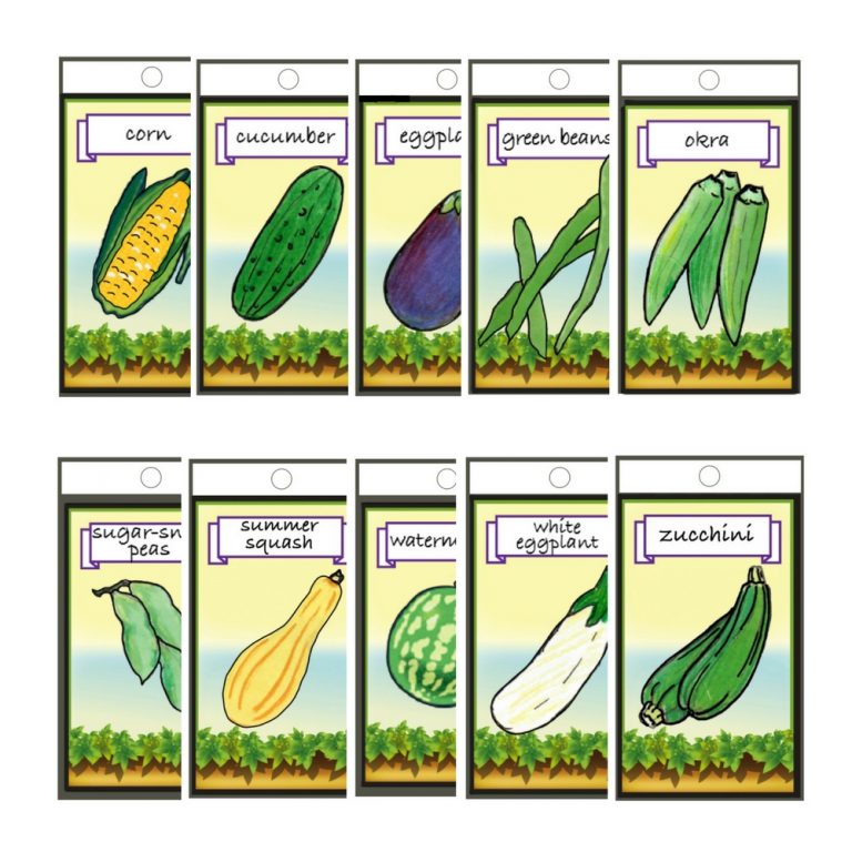 tmp 601b8ea2d617a 768x768