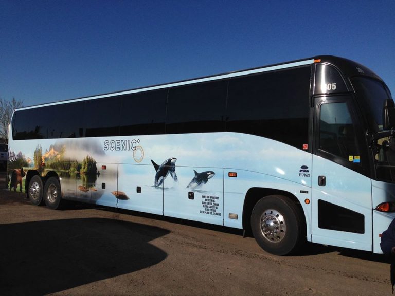 tmp 6025c2ce80391 768x576