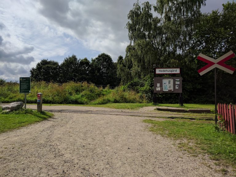 tmp 6025d6e502ecb 768x576