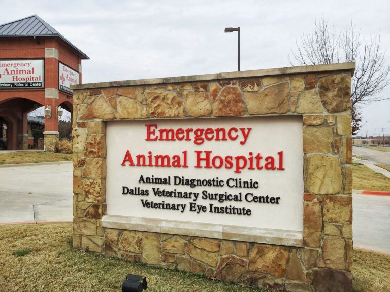 tmp 602c63c344504 768x576