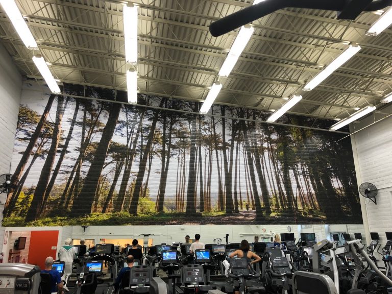 tmp 60386b0ec04b0 768x576