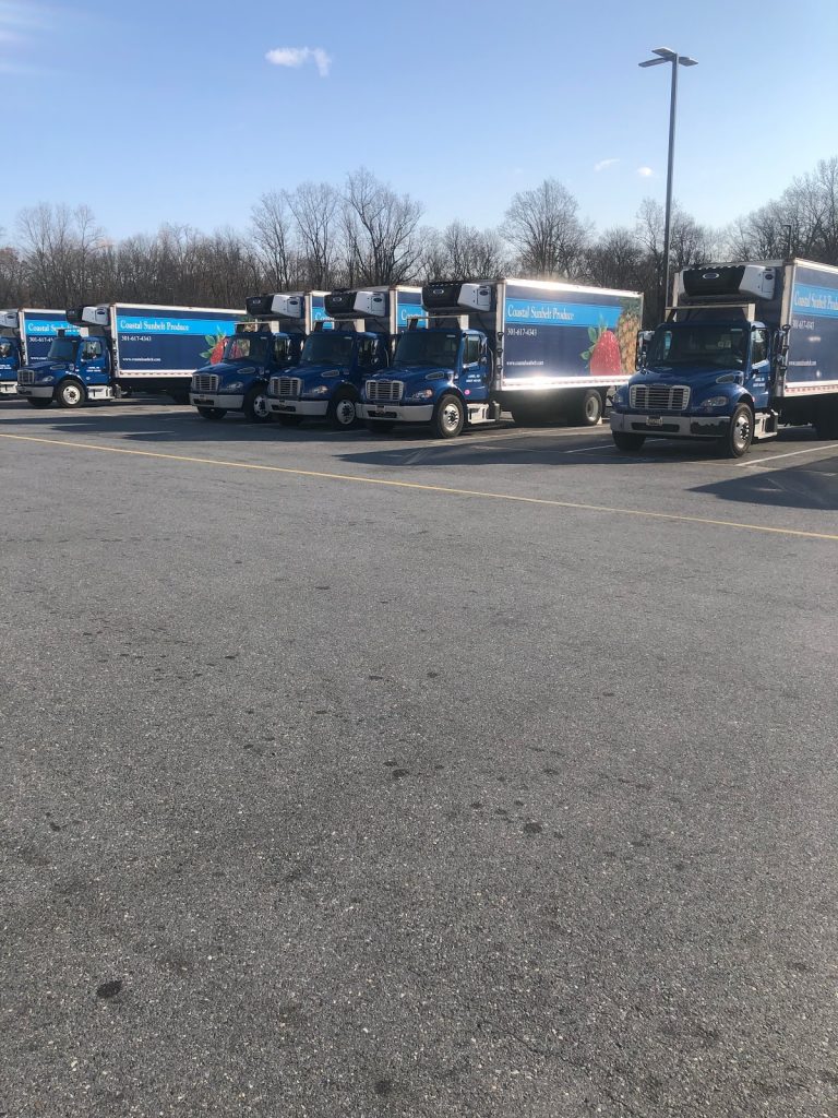 tmp 60386c95461f1 768x1024