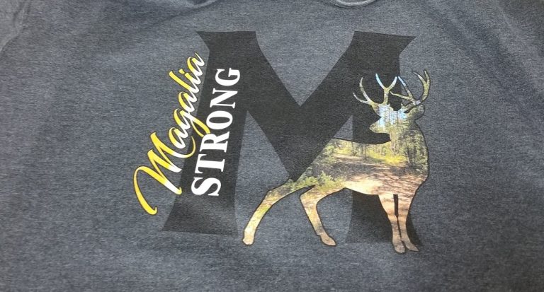 tmp 60386df2e28e8 768x413