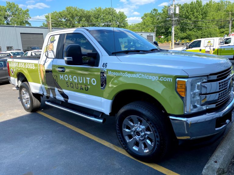 tmp 60386eaa4ff80 768x576