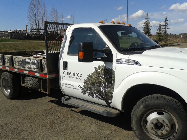 tmp 60387ef230203 768x576