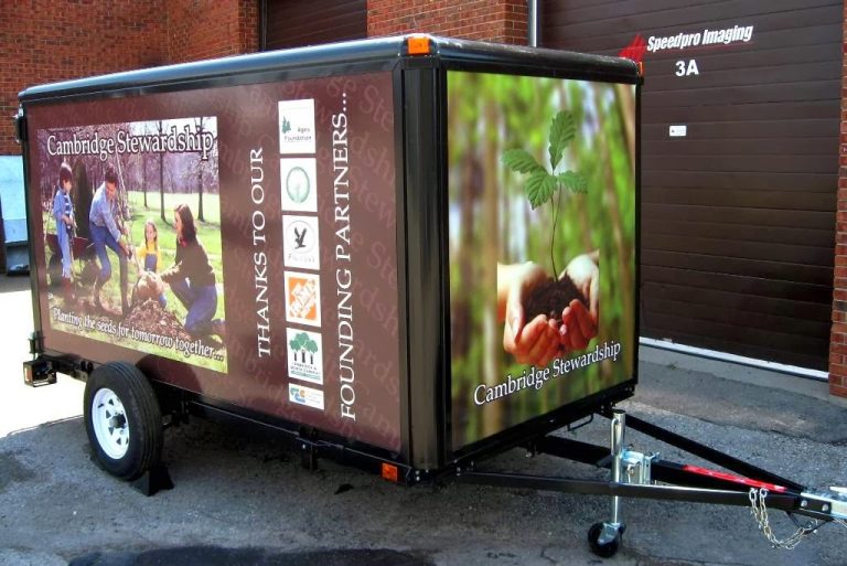 tmp 603881217a9fe 768x513