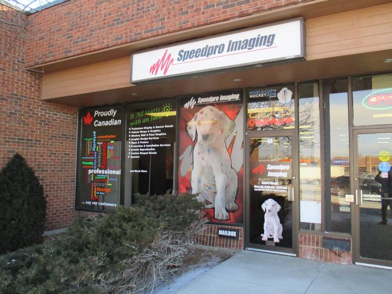 tmp 6038815f7a801 768x576