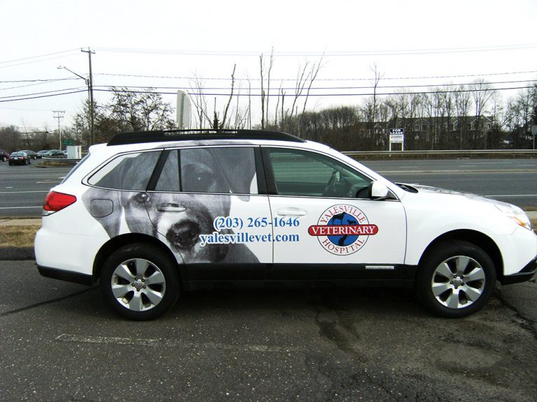 tmp 603883f2b5ae8 768x576