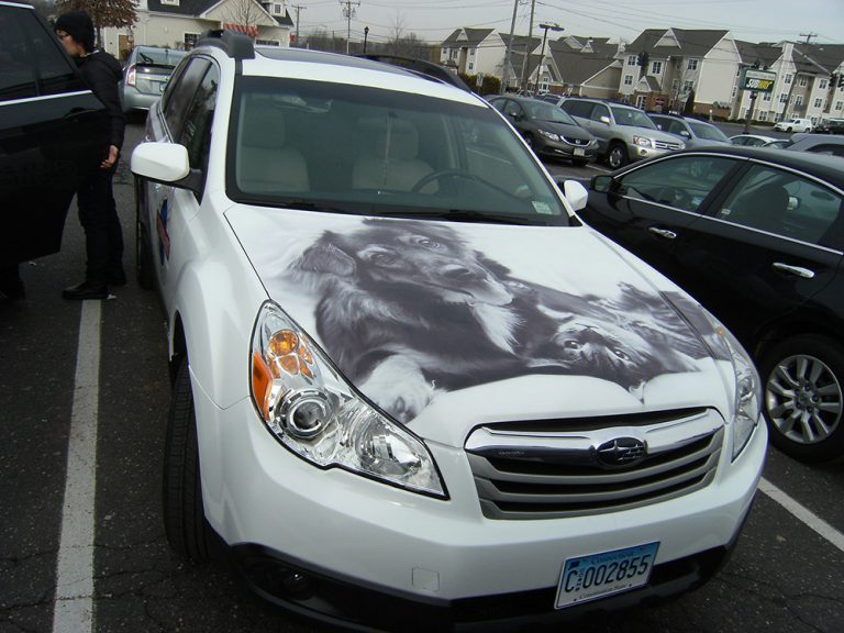 tmp 603884090b8a0 768x576