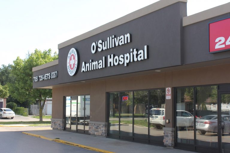 tmp 603888d38cee7 768x512