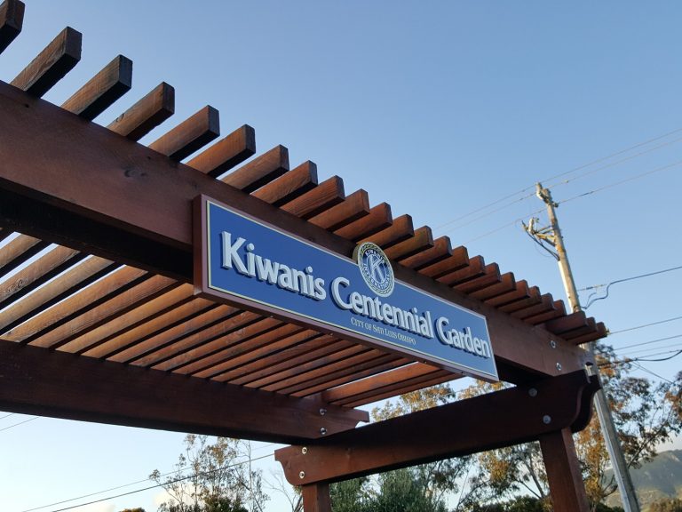 tmp 60388ac3665a7 768x576