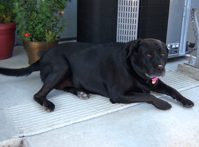 tmp 60388ae9a0625 768x567