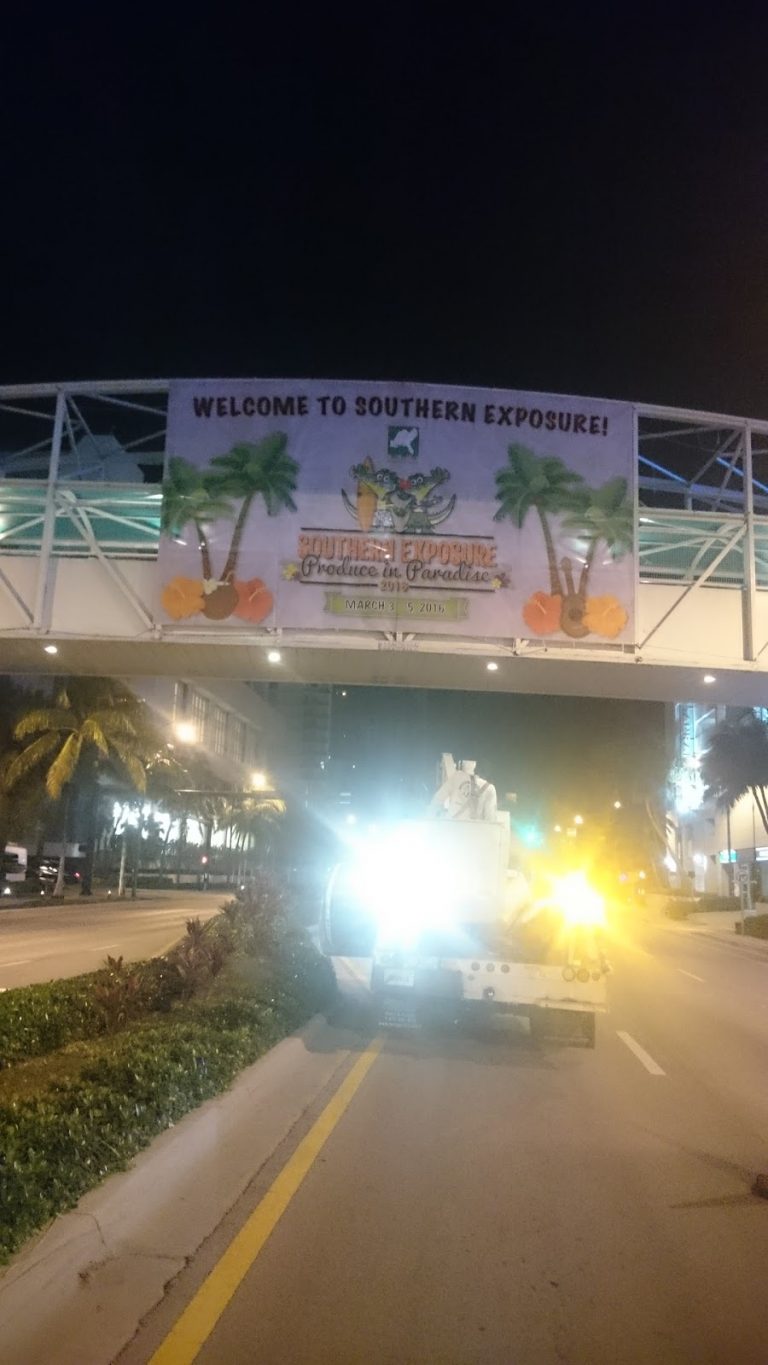 tmp 60389b5251b05 768x1365