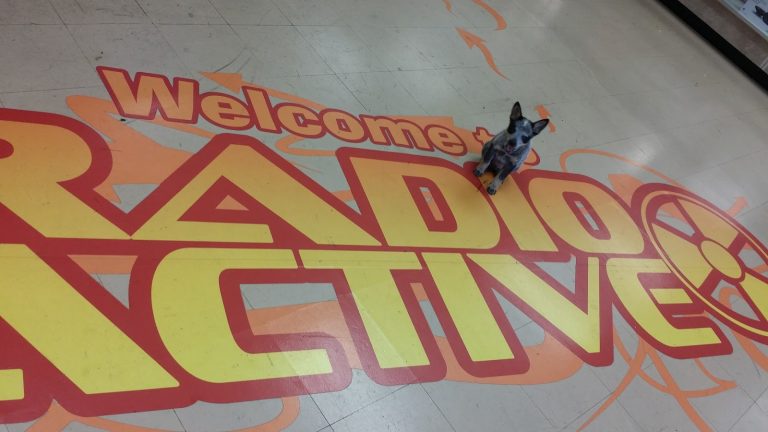 tmp 6038a69b42a67 768x432