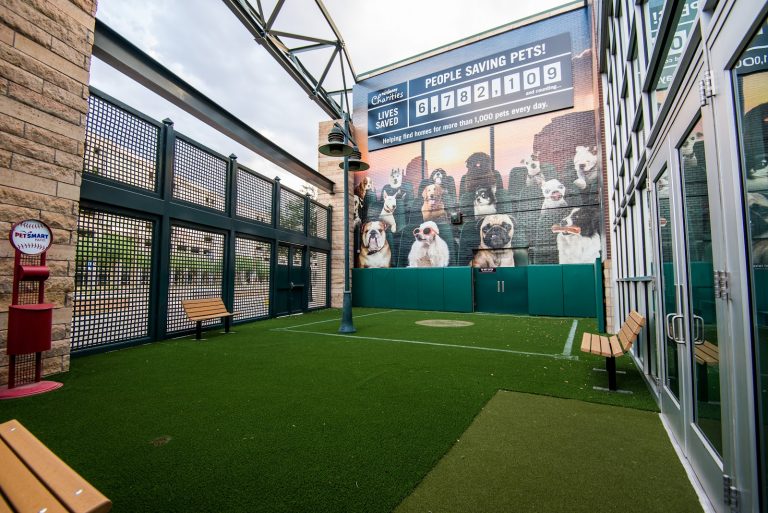 tmp 6039a1d0c7a4e 768x513