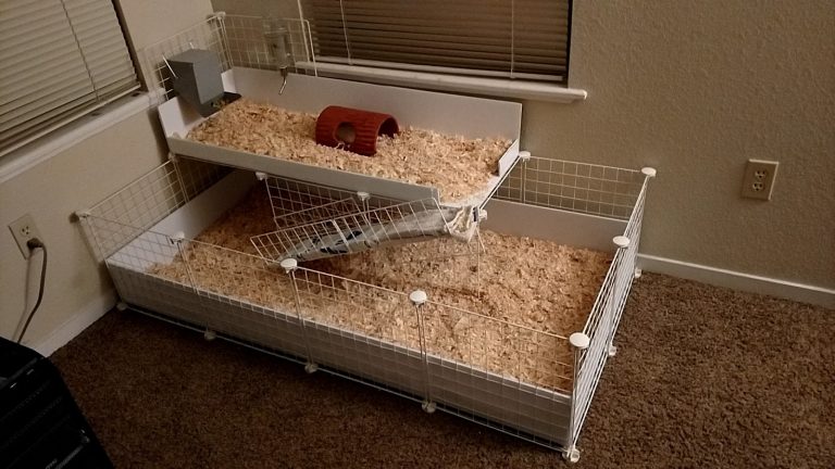 tmp 6039a7334d175 768x432