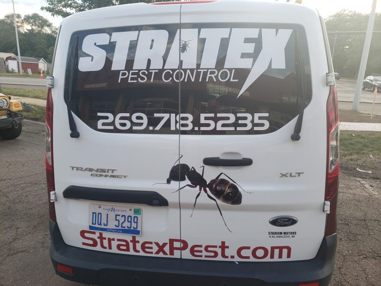 tmp 6039a9d063408 768x576