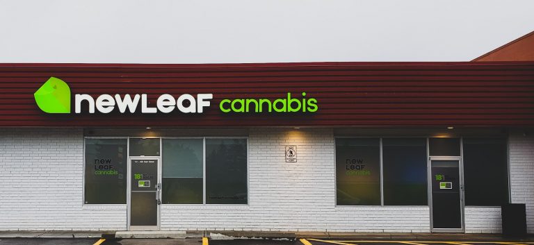 tmp 6039bcffb4762 768x353