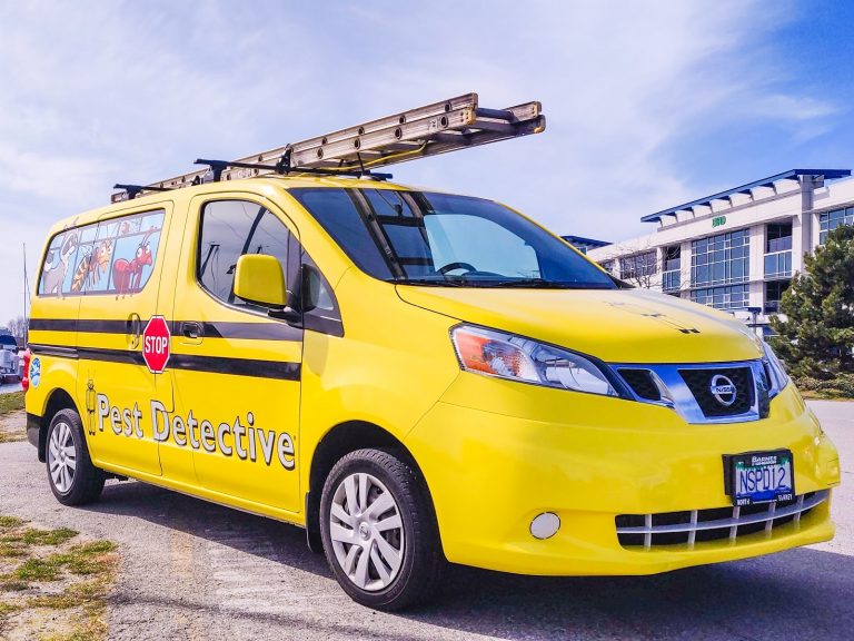 tmp 6039d1f2c2b89 768x576