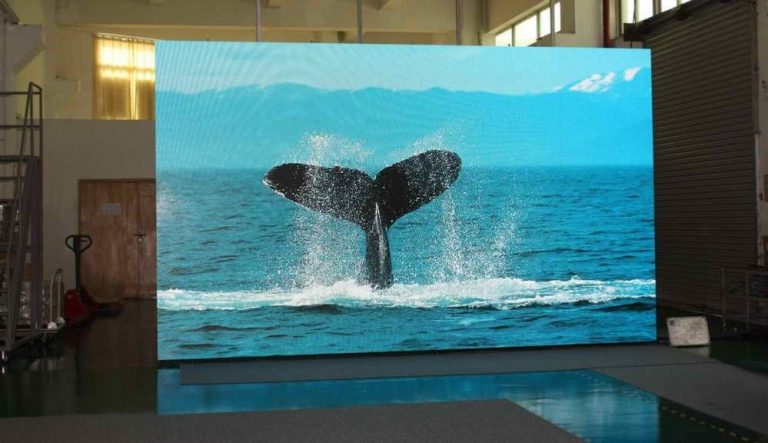 tmp 6039d4c20f0a8 768x443