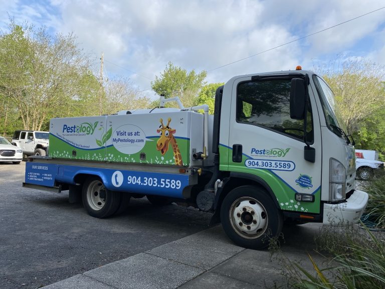 tmp 603afa5a72509 768x576