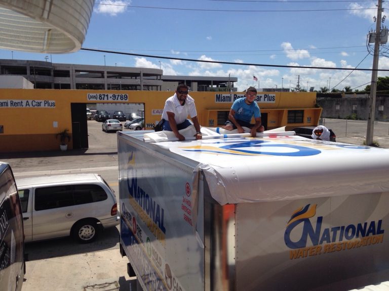 tmp 603afc99e7c6a 768x576