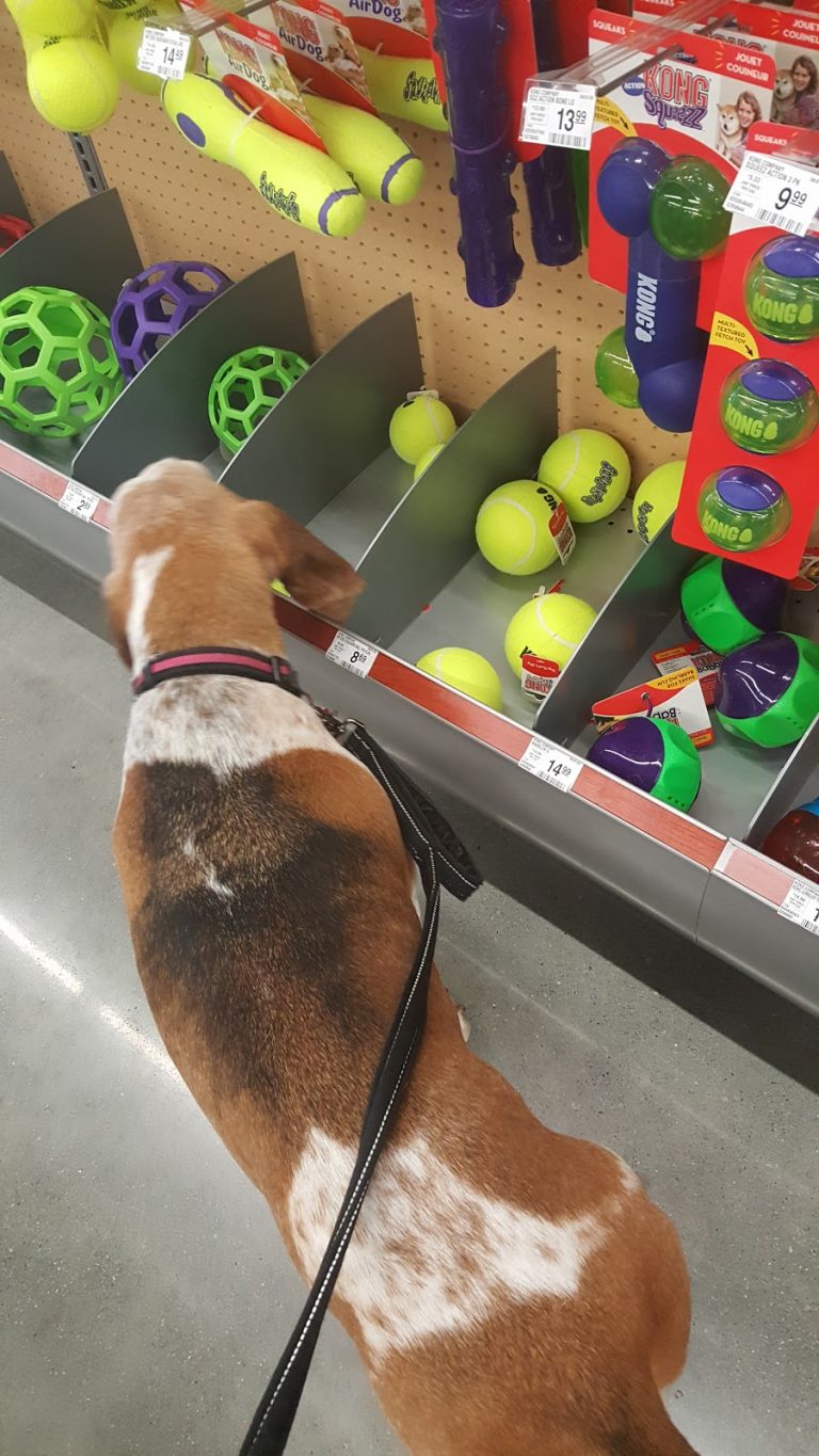 tmp 6043073545ab6 768x1365