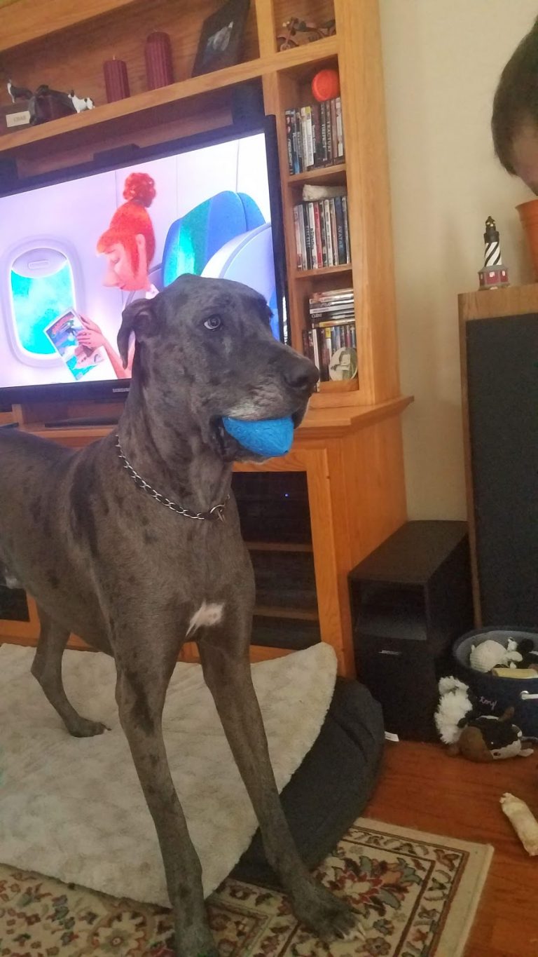 tmp 6043074129a74 768x1365