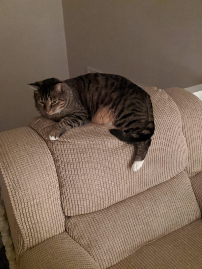 tmp 604307634940b 768x1024