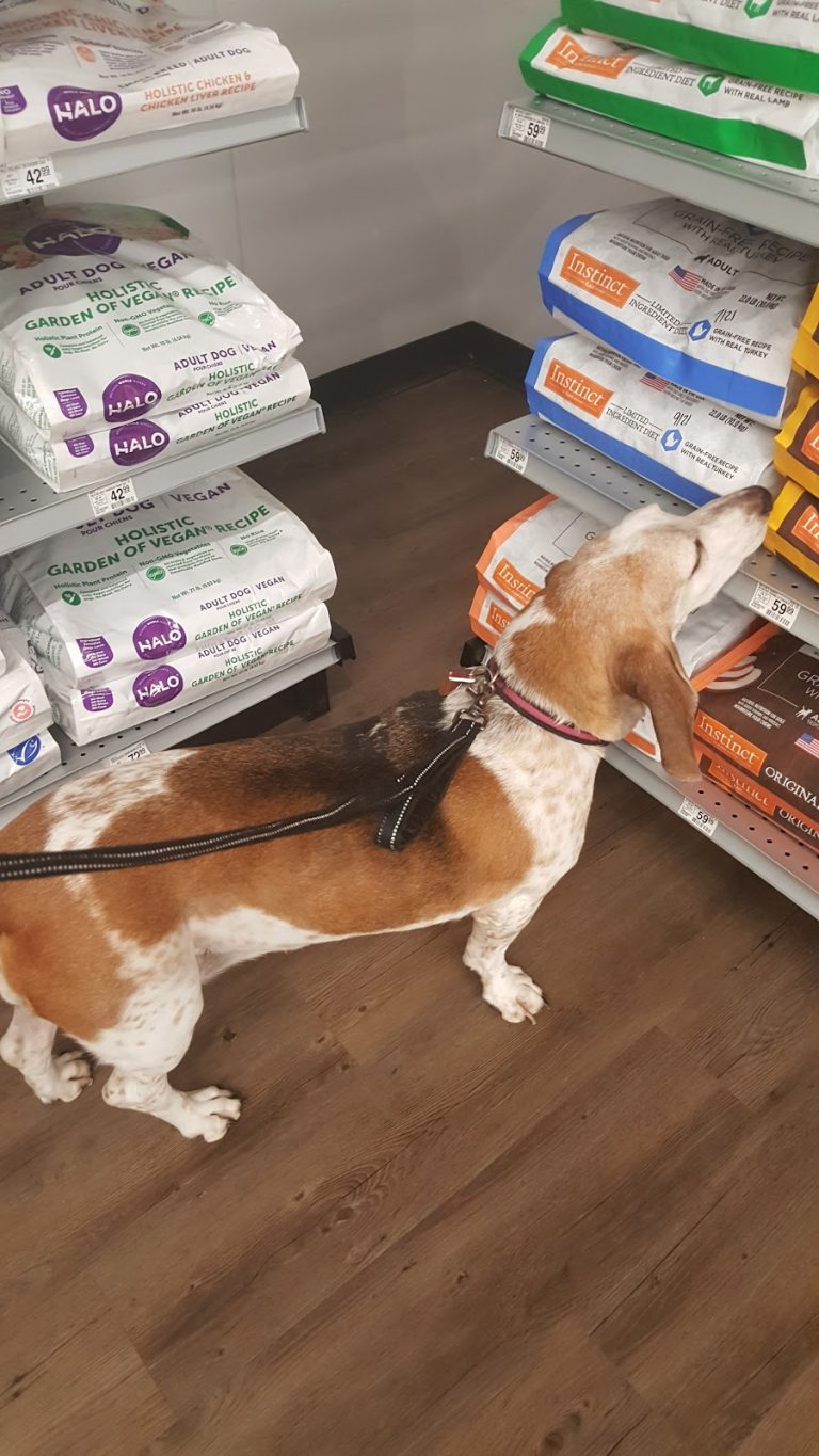 tmp 6043077ab69f3 768x1365