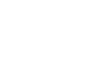 logo precision